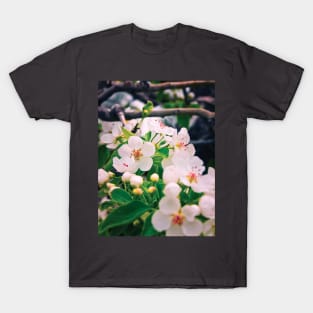 Spring blossoms T-Shirt